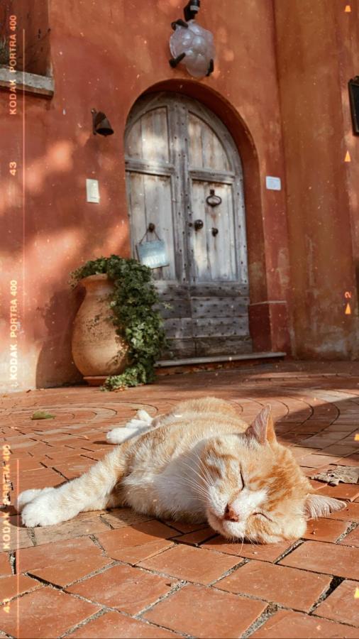 Domaine De Sainte Annette Bed & Breakfast Callian  Exterior foto